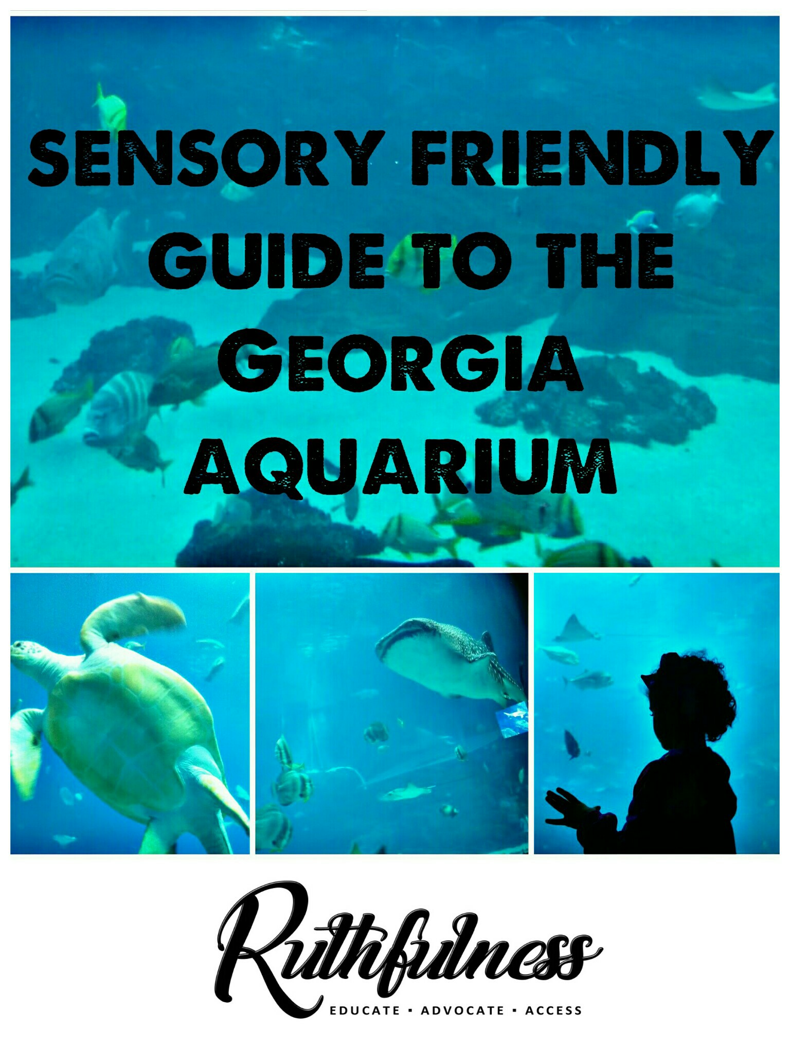 Sensory Friendly Review of the Georgia Aquarium – Ruthfulness